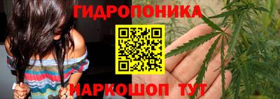 прущая мука Кимры