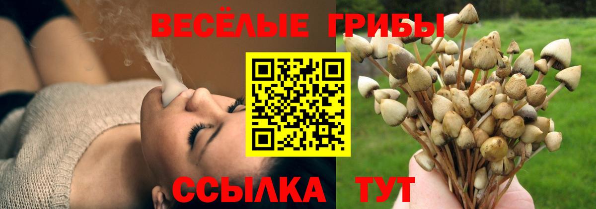 Галлюциногенные грибы мицелий Красноармейск
